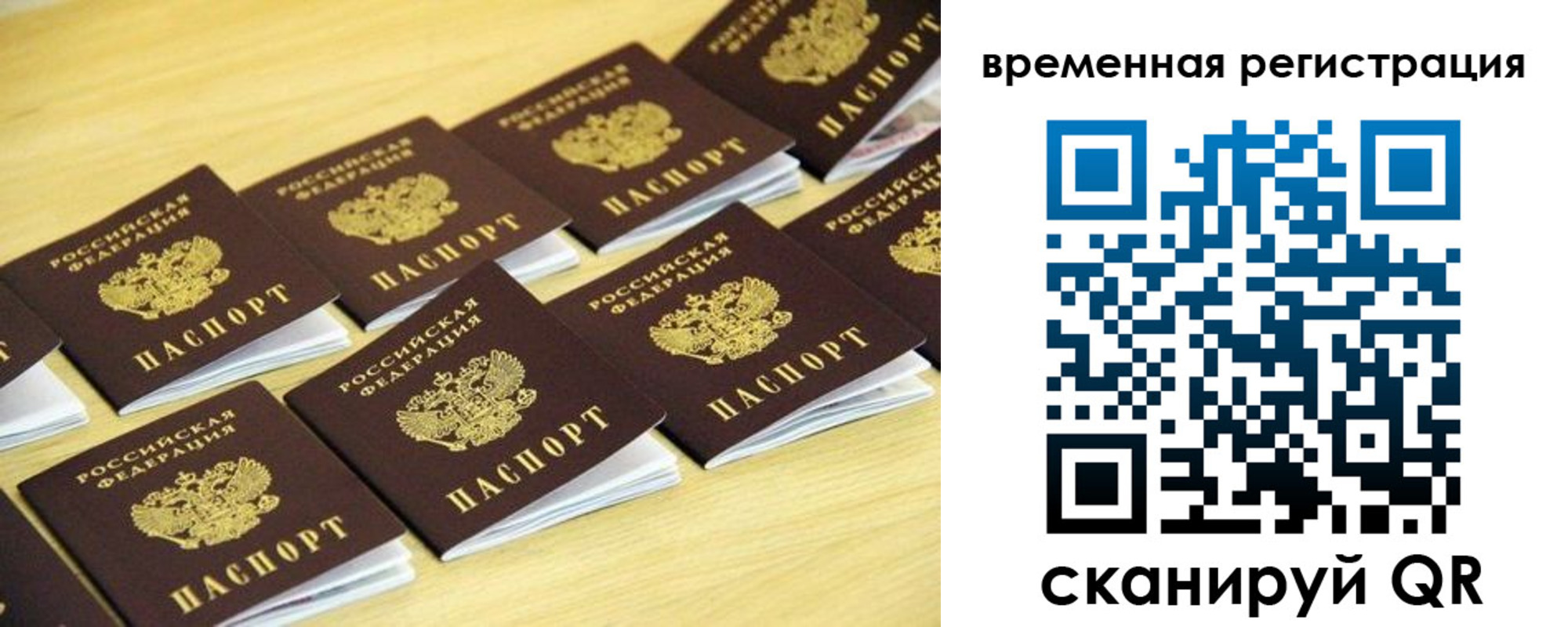 купить прописку в Брянской области